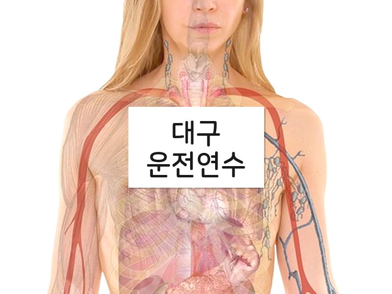 대구운전연수 후기