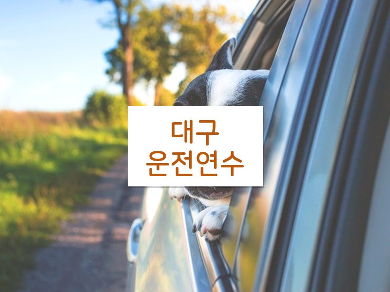 대구운전연수 후기