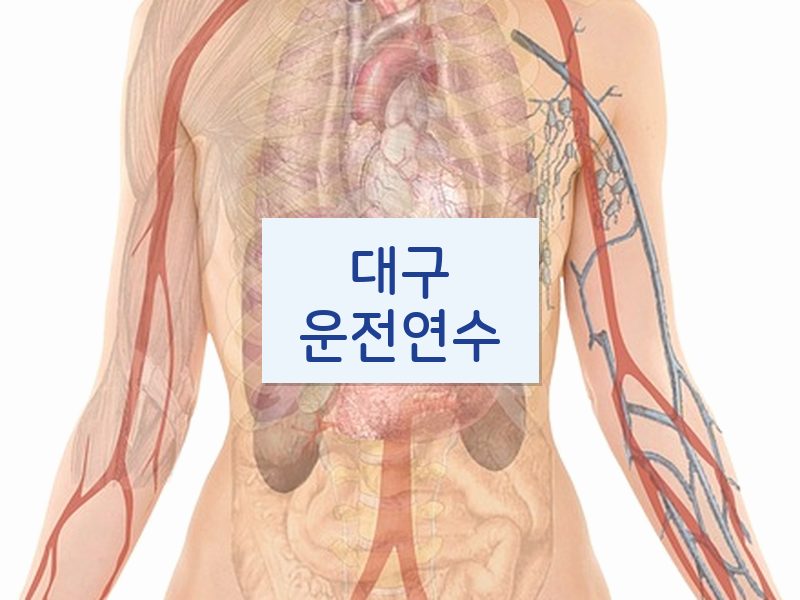 대구운전연수 후기