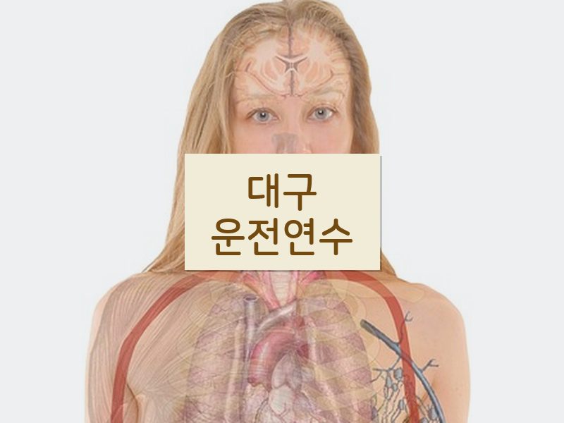 대구운전연수 후기