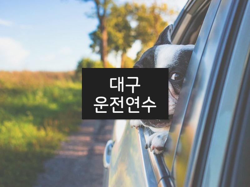 대구운전연수 후기