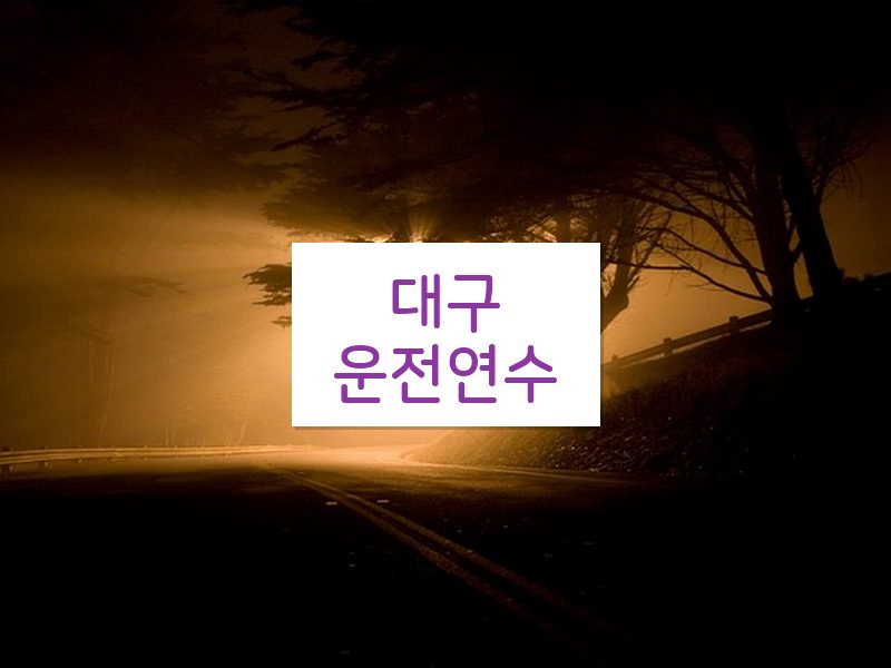 대구운전연수 후기