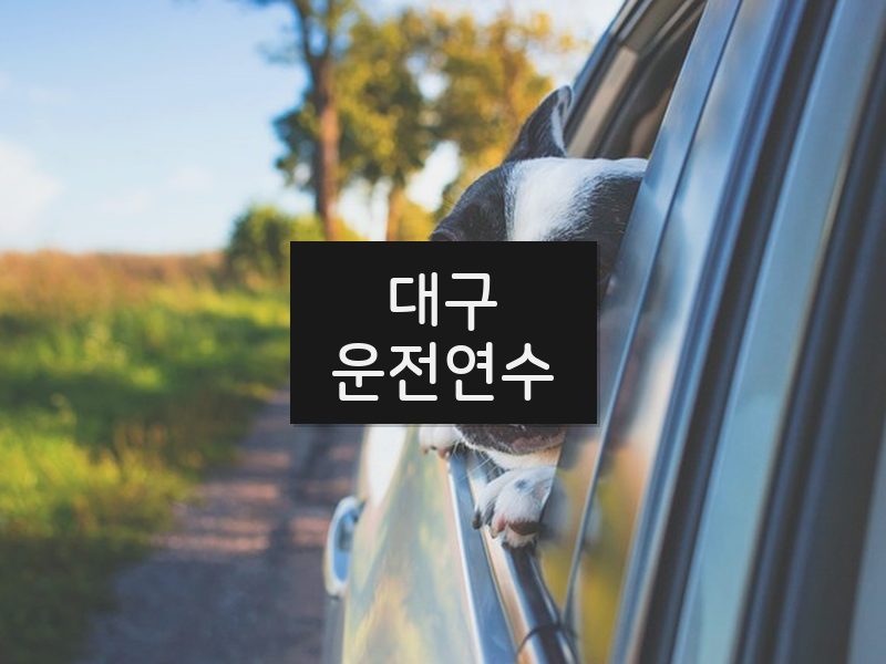 대구운전연수 후기
