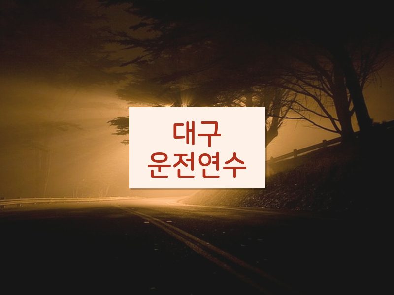 대구운전연수 후기