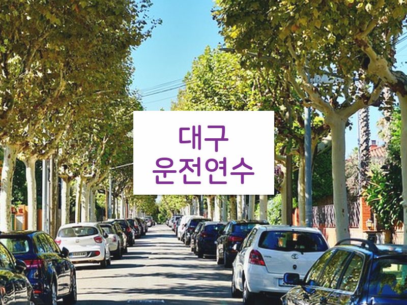 대구운전연수 후기