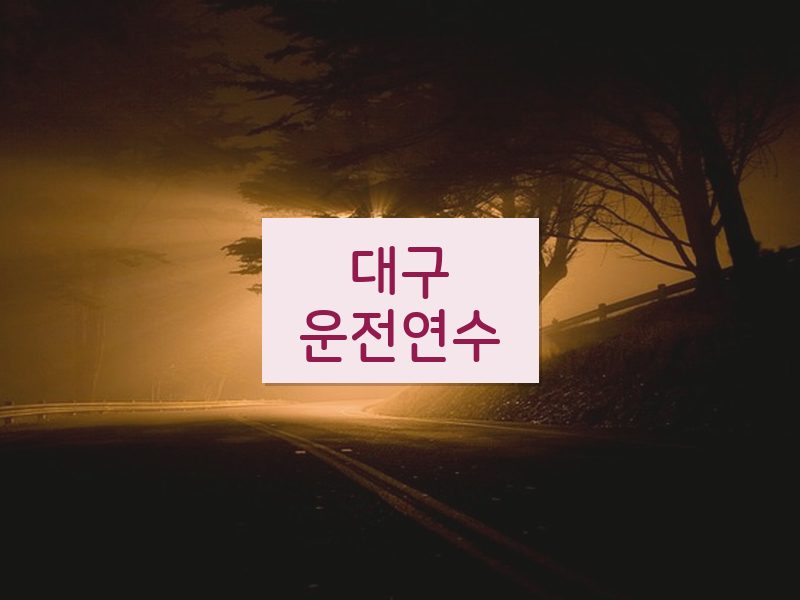 대구운전연수 후기