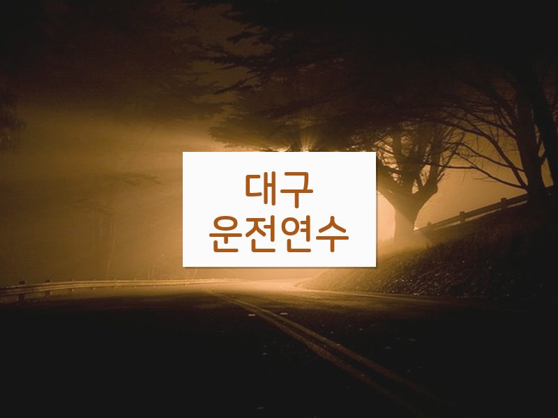 대구운전연수 후기