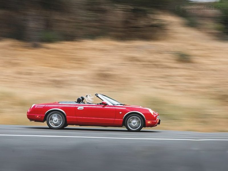 대구운전연수 후기