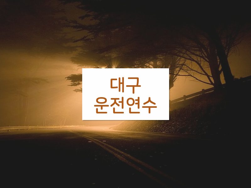 대구운전연수 후기