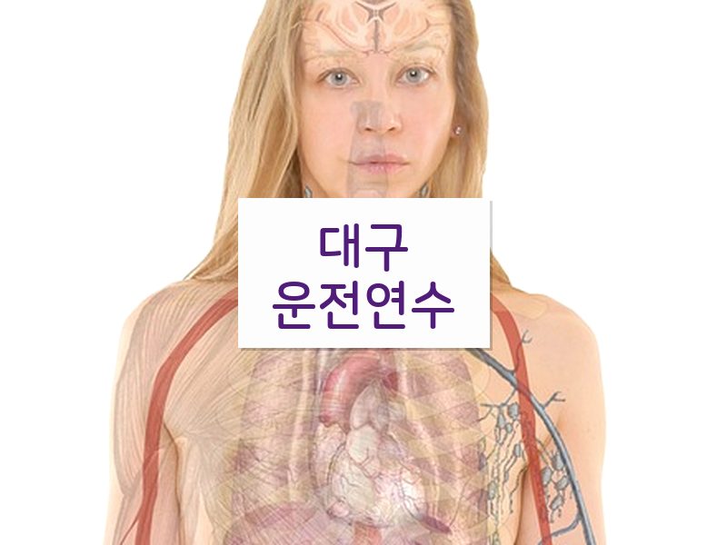 대구운전연수 후기