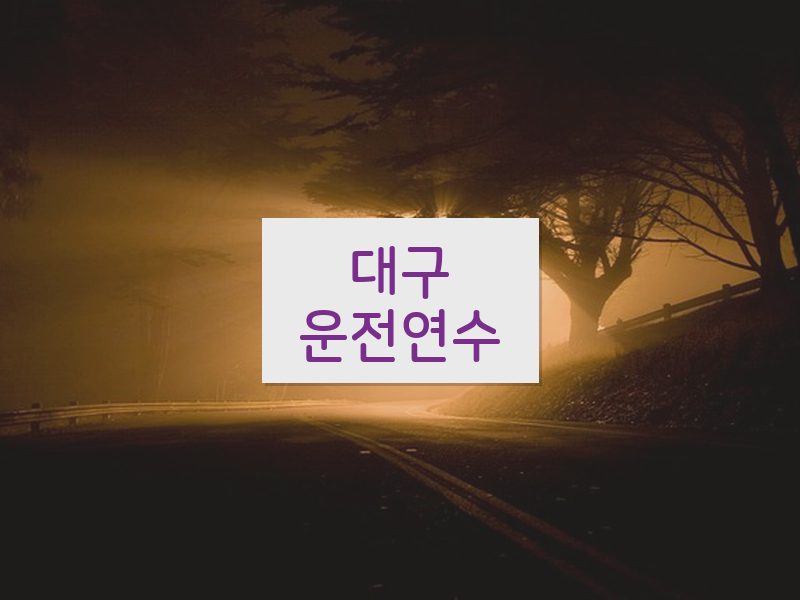 대구운전연수 후기