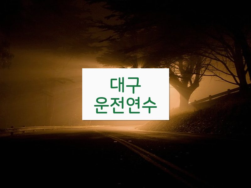 대구운전연수 후기