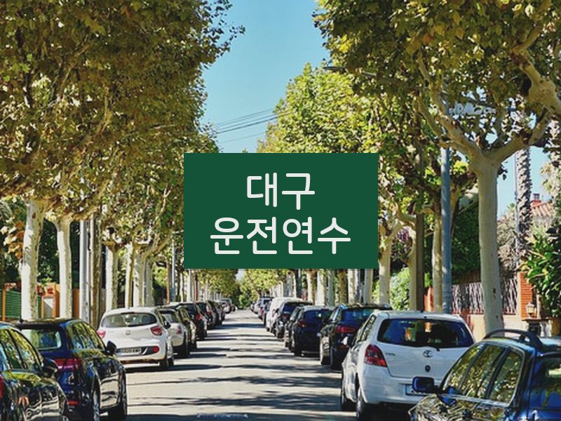 대구운전연수 후기