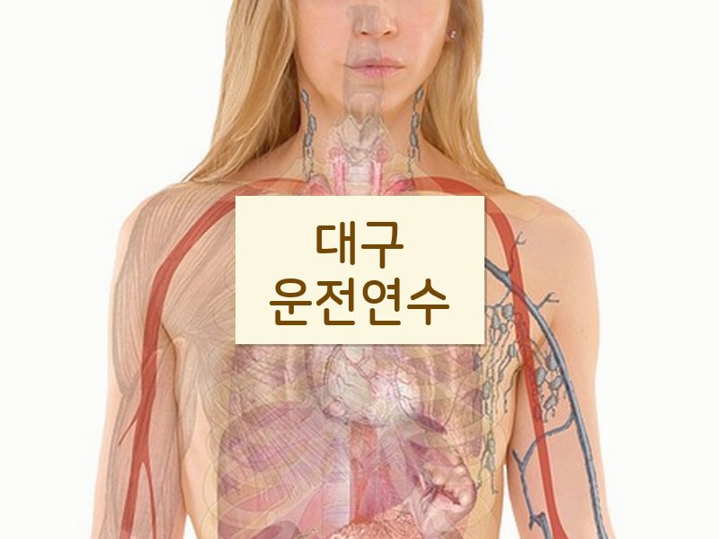 대구운전연수 후기