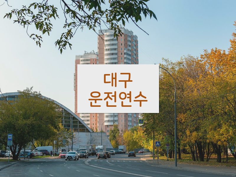 대구운전연수 후기