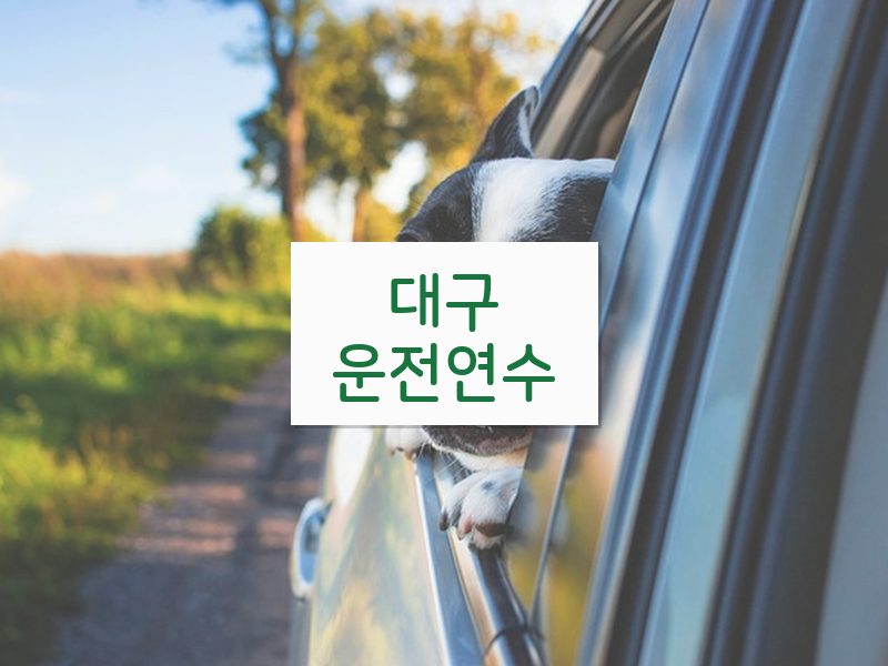 대구운전연수 후기