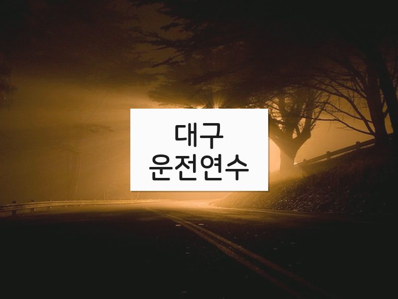 대구운전연수 후기