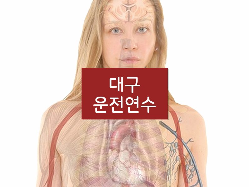 대구운전연수 후기