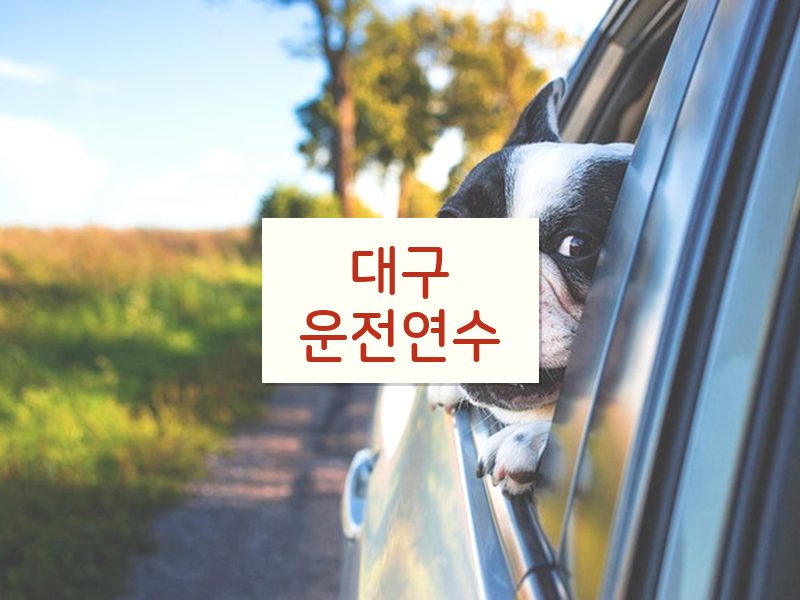 대구운전연수 후기