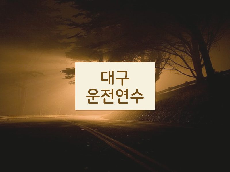 대구운전연수 후기