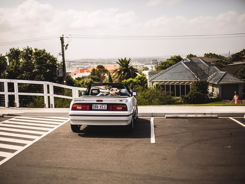 대구운전연수 후기