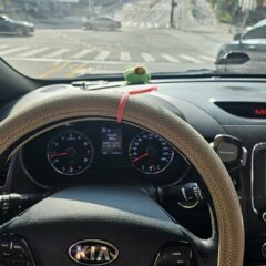 대구운전연수 실력이 확 늘었어요