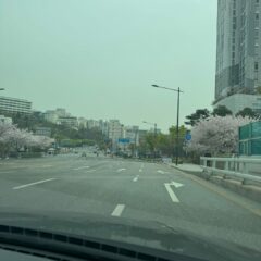 대구운전연수 덕분에 운전 시작했어요