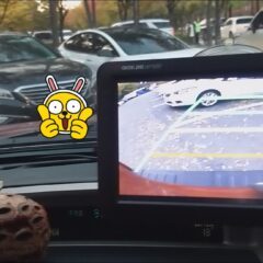 체계적이고 철저한 강의