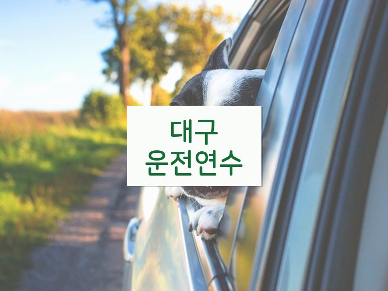 대구운전연수 후기