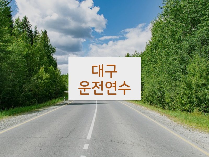 대구운전연수 후기