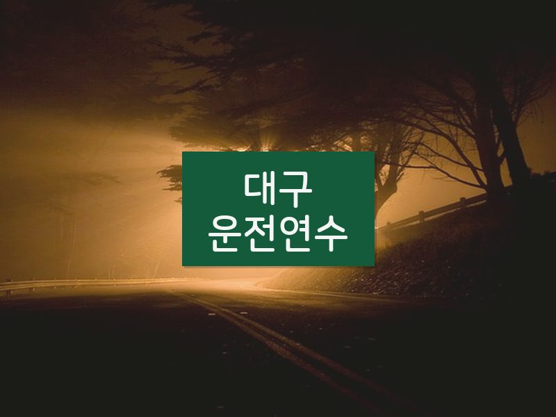 대구운전연수 후기