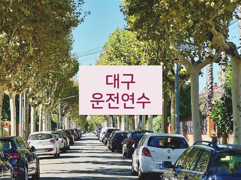 대구운전연수 후기
