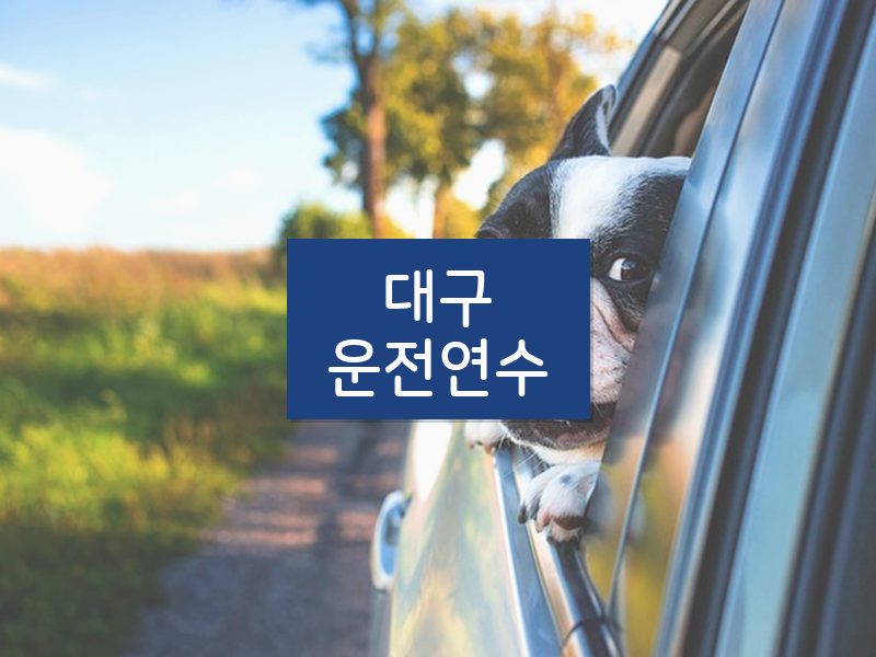 대구운전연수 후기